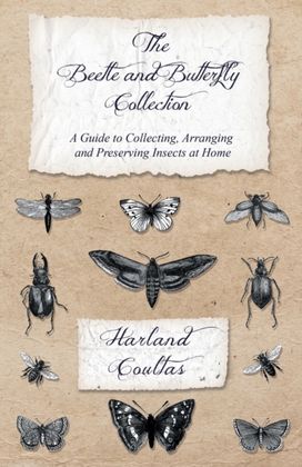 Beetle and Butterfly Collection - a Guide to Collecting, Arranging and Preserving Insects at Home Beetle and Butterfly Collection - a Guide to Collecting, Arranging and Preserving Insects at Home
