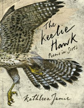 Keelie Hawk Keelie Hawk