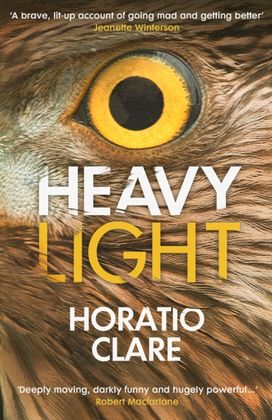 Heavy Light Heavy Light
