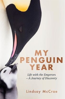 My Penguin Year My Penguin Year