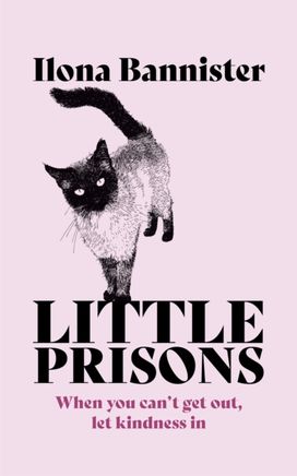 Little Prisons Little Prisons