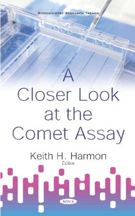 Closer Look at the Comet Assay