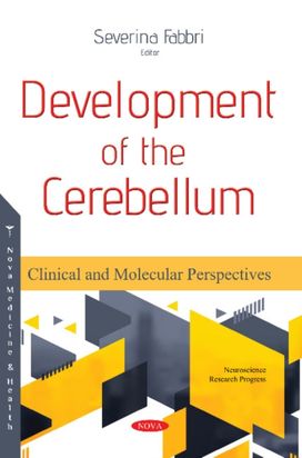 Development of the Cerebellum Development of the Cerebellum