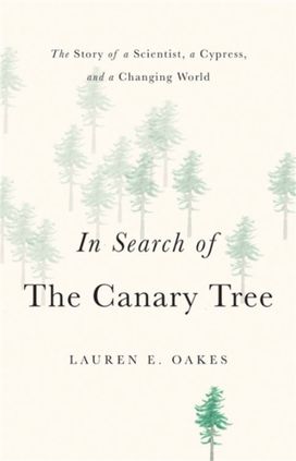 In Search of the Canary Tree In Search of the Canary Tree
