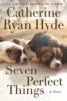 Seven Perfect Things Seven Perfect Things