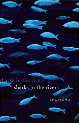 Sharks in the Rivers Sharks in the Rivers