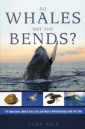 Do Whales Get the Bends Us Edition