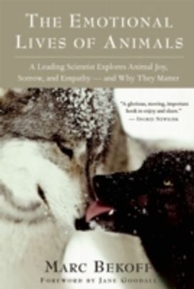 Emotional Lives of Animals