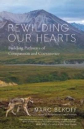 Rewilding Our Hearts Rewilding Our Hearts
