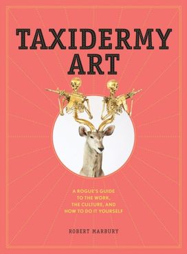 Taxidermy Art Taxidermy Art