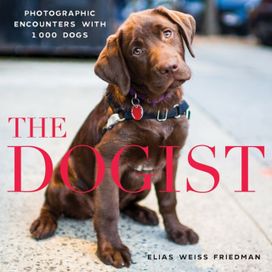 Dogist Dogist