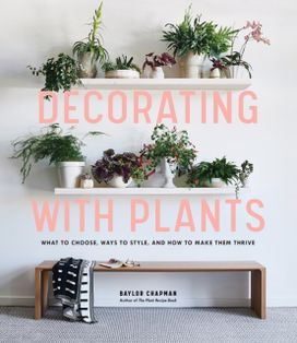 Decorating with Plants Decorating with Plants