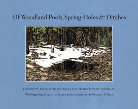 Of Woodland Pools, Spring-Holes & Ditches Of Woodland Pools, Spring-Holes & Ditches