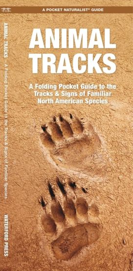 Animal Tracks