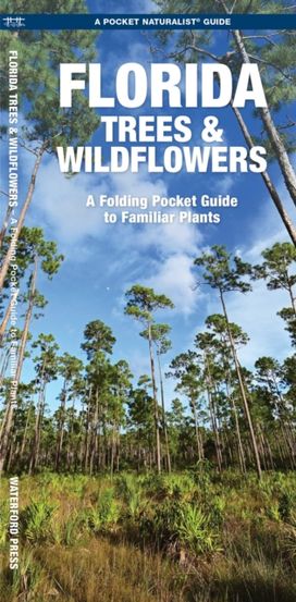 Florida Trees & Wildflowers Florida Trees & Wildflowers