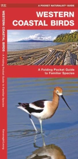 Western Coastal Birds Western Coastal Birds