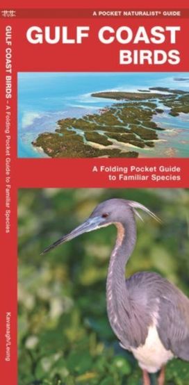 Gulf Coast Birds