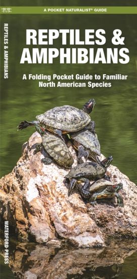 Reptiles & Amphibians Reptiles & Amphibians