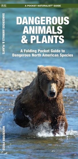 Dangerous Animals & Plants Dangerous Animals & Plants