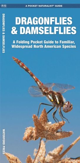 Dragonflies & Damselflies Dragonflies & Damselflies