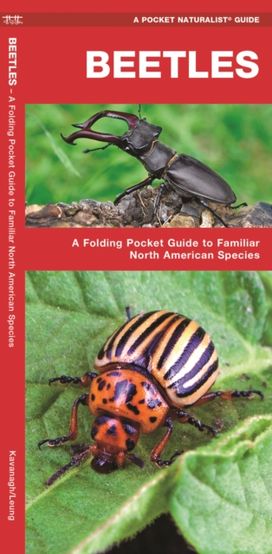 Beetles Beetles