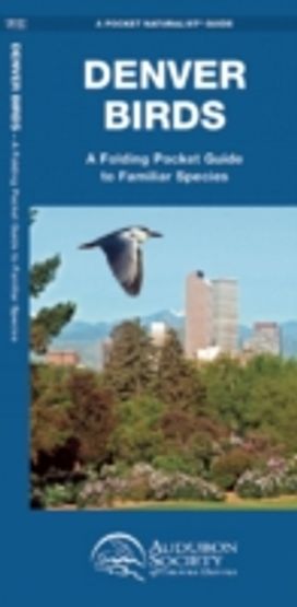 Denver Birds Denver Birds