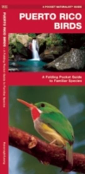 Puerto Rico Birds Puerto Rico Birds