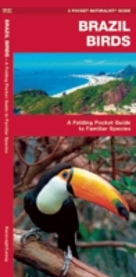 Brazil Birds