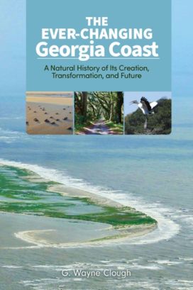Ever-Changing Georgia Coast Ever-Changing Georgia Coast