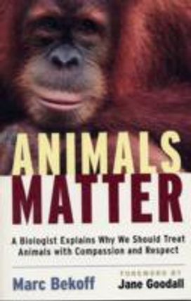 Animals Matter