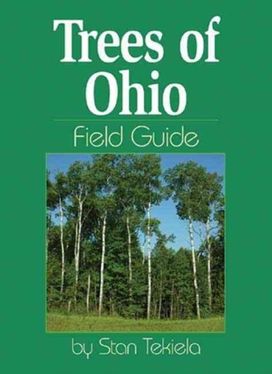 Trees of Ohio Field Guide