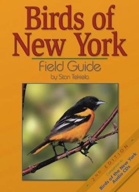 Birds of New York Field Guide