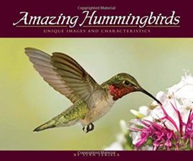 Amazing Hummingbirds Amazing Hummingbirds