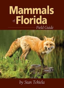Mammals of Florida Field Guide Mammals of Florida Field Guide