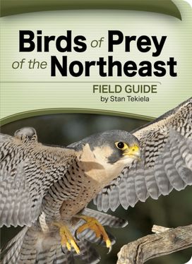 Birds of Prey of the Northeast Field Guide Birds of Prey of the Northeast Field Guide