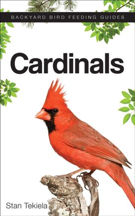 Cardinals Cardinals