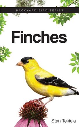 Finches Finches