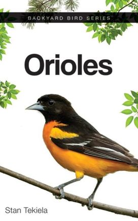 Orioles Orioles