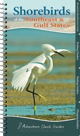 Shorebirds of the Southeast & Gulf States Shorebirds of the Southeast & Gulf States