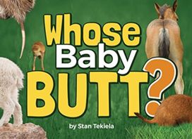 Whose Baby Butt? Whose Baby Butt?