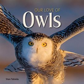 Our Love of Owls Our Love of Owls