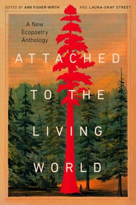 Attached to the Living World