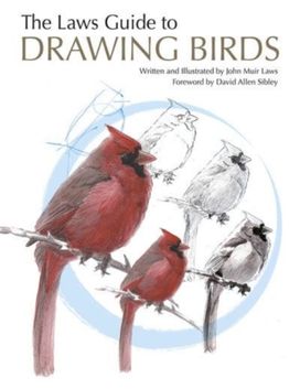 Laws Guide to Drawing Birds