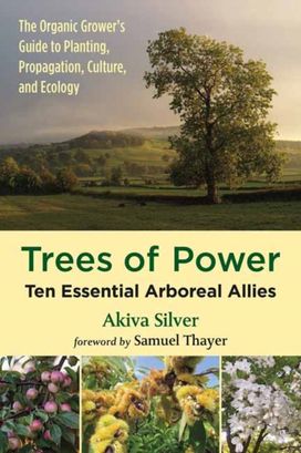 Trees of Power Trees of Power