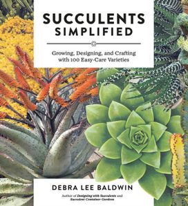 Succulents Simplified Succulents Simplified