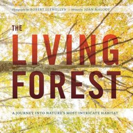 The Living Forest