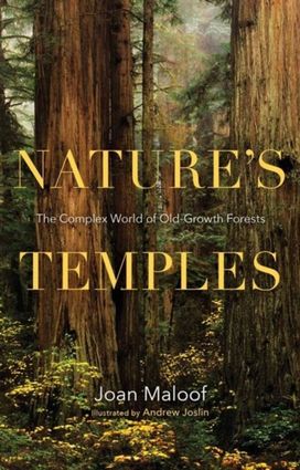 Nature's Temples Nature's Temples