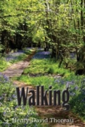 Walking Walking