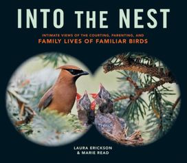 Into the Nest Into the Nest