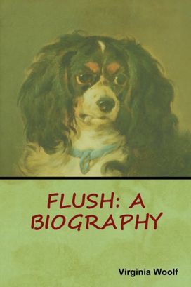 Flush Flush